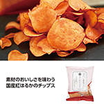 商品説明画像1